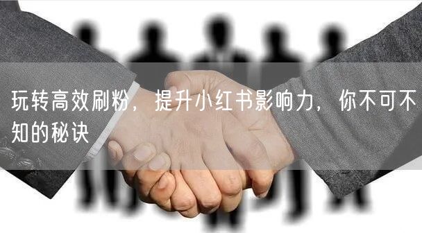 玩转高效刷粉，提升小红书影响力，你不可不知的秘诀