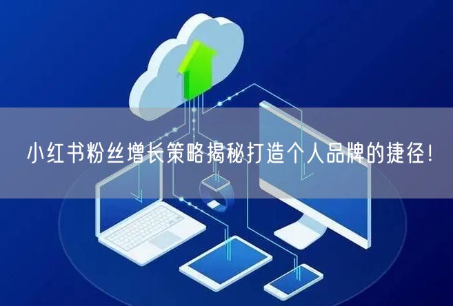 小红书粉丝增长策略揭秘打造个人品牌的捷径！