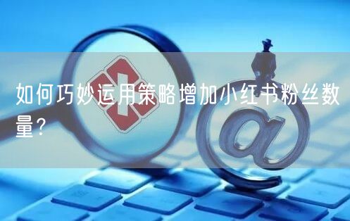 如何巧妙运用策略增加小红书粉丝数量？