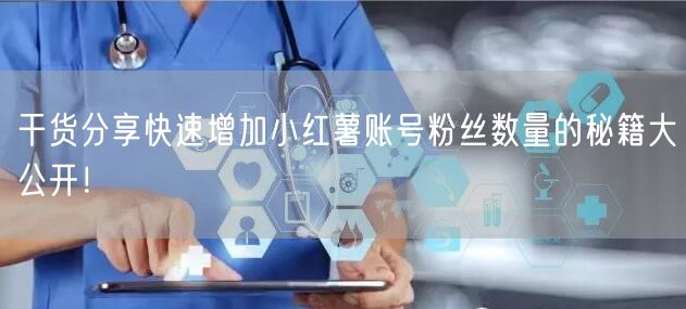 干货分享快速增加小红薯账号粉丝数量的秘籍大公开！
