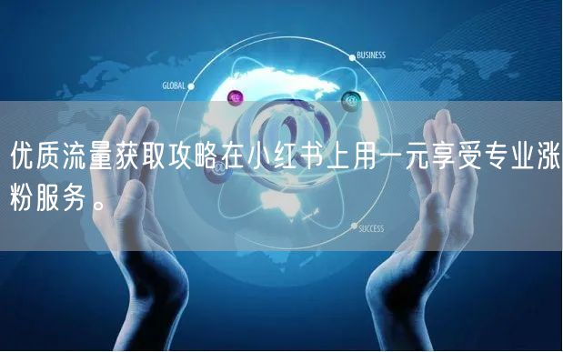 优质流量获取攻略在小红书上用一元享受专业涨粉服务。