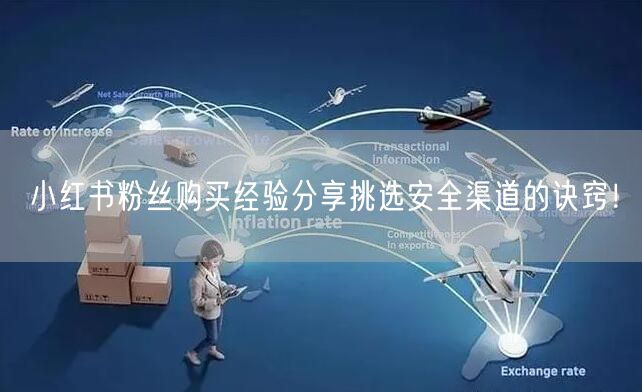 小红书粉丝购买经验分享挑选安全渠道的诀窍！