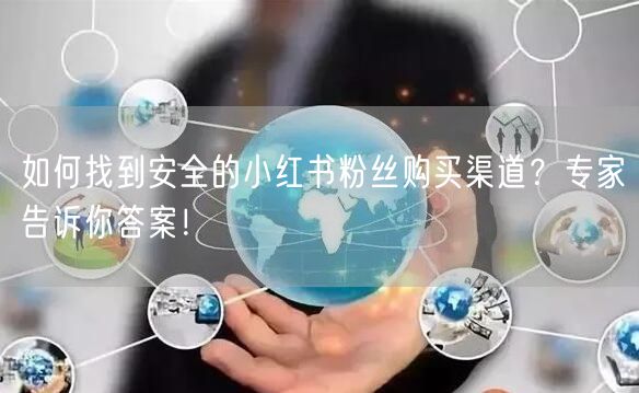 如何找到安全的小红书粉丝购买渠道？专家告诉你答案！