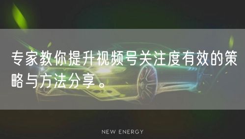 专家教你提升视频号关注度有效的策略与方法分享。