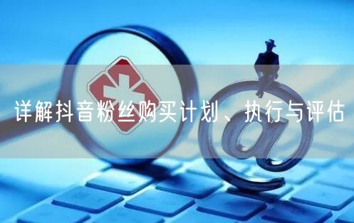 详解抖音粉丝购买计划、执行与评估