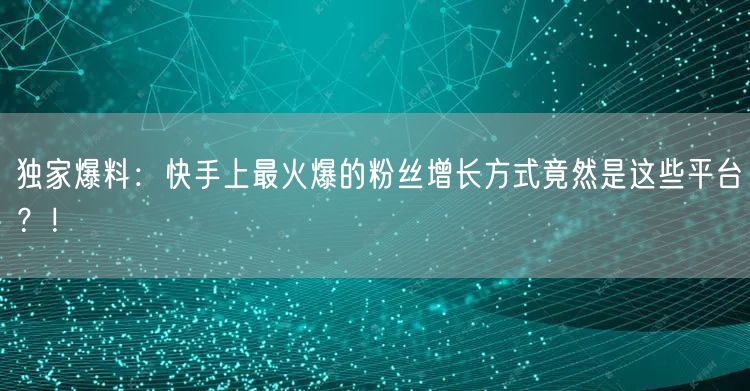 独家爆料：快手上最火爆的粉丝增长方式竟然是这些平台？！