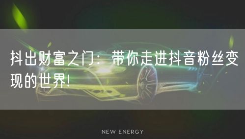 抖出财富之门：带你走进抖音粉丝变现的世界!